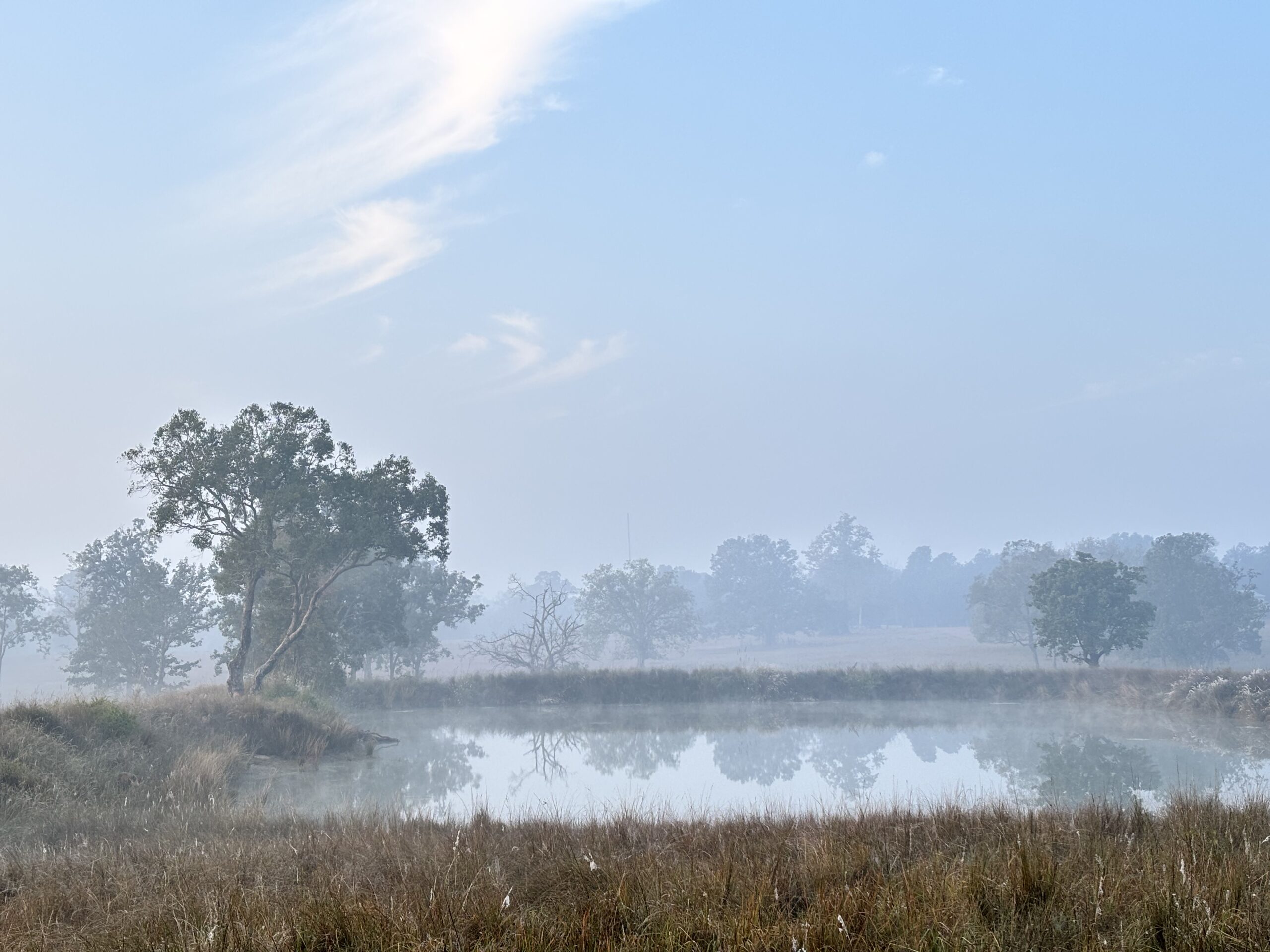 Kanha National Park